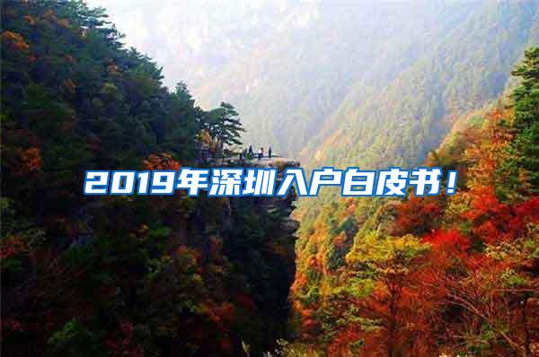 2019年深圳入户白皮书！