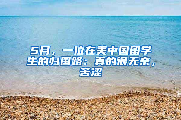 5月，一位在美中国留学生的归国路：真的很无奈，苦涩