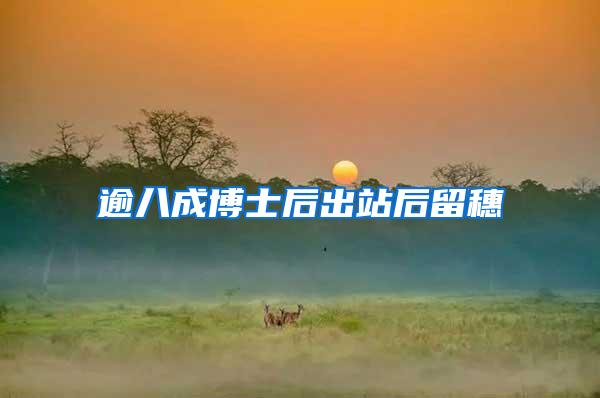 逾八成博士后出站后留穗