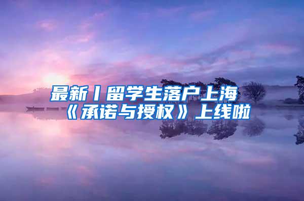 最新丨留学生落户上海《承诺与授权》上线啦