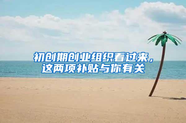 初创期创业组织看过来，这两项补贴与你有关