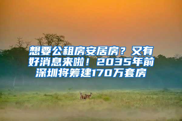 想要公租房安居房？又有好消息来啦！2035年前深圳将筹建170万套房
