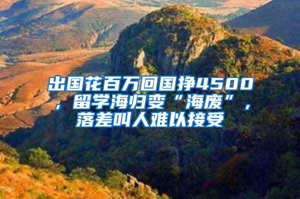 出国花百万回国挣4500，留学海归变“海废”，落差叫人难以接受