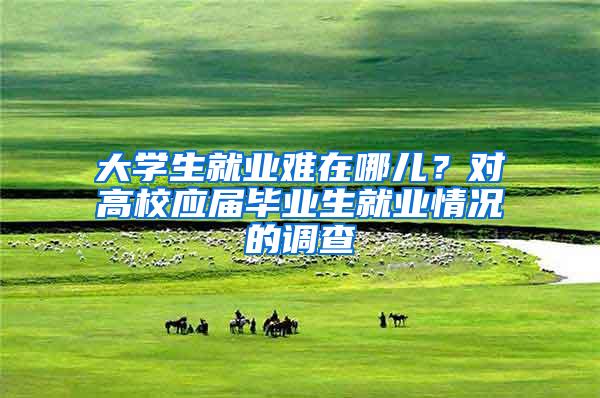 大学生就业难在哪儿？对高校应届毕业生就业情况的调查