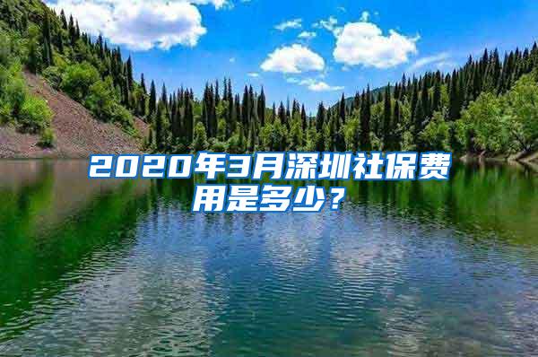 2020年3月深圳社保费用是多少？