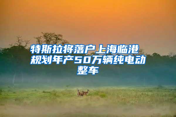 特斯拉将落户上海临港 规划年产50万辆纯电动整车