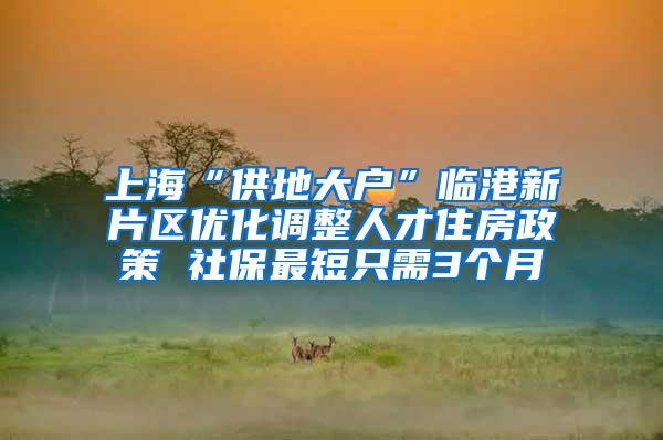 上海“供地大户”临港新片区优化调整人才住房政策 社保最短只需3个月