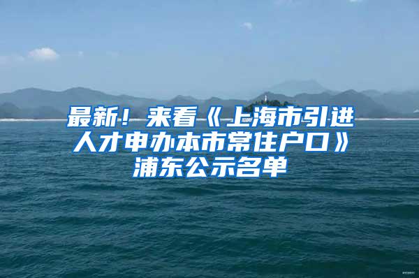 最新！来看《上海市引进人才申办本市常住户口》浦东公示名单