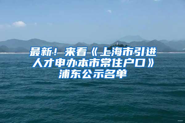 最新！来看《上海市引进人才申办本市常住户口》浦东公示名单