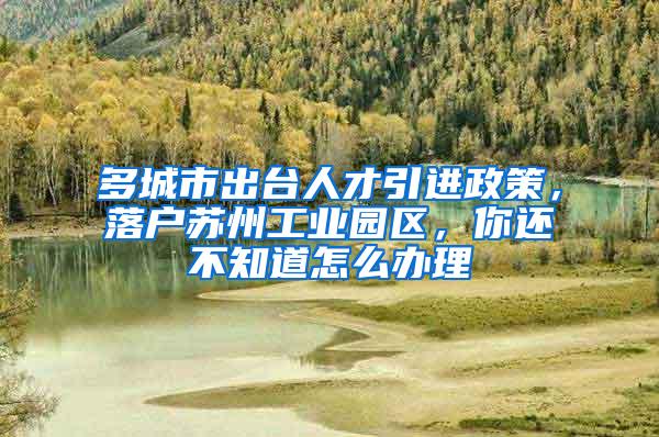 多城市出台人才引进政策，落户苏州工业园区，你还不知道怎么办理