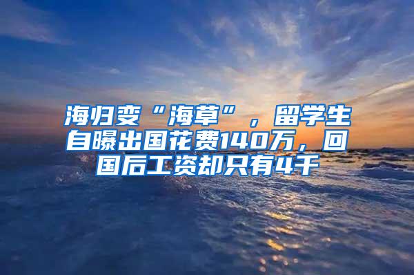 海归变“海草”，留学生自曝出国花费140万，回国后工资却只有4千