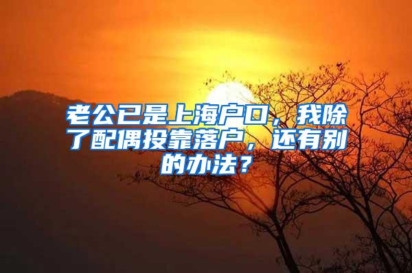 老公已是上海户口，我除了配偶投靠落户，还有别的办法？