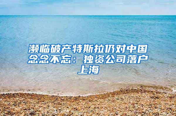 濒临破产特斯拉仍对中国念念不忘：独资公司落户上海