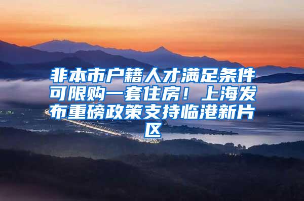 非本市户籍人才满足条件可限购一套住房！上海发布重磅政策支持临港新片区