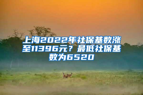 上海2022年社保基数涨至11396元？最低社保基数为6520