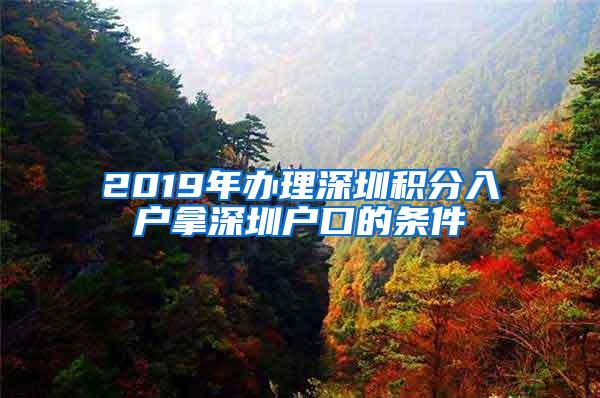 2019年办理深圳积分入户拿深圳户口的条件