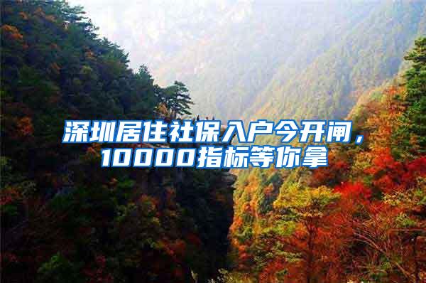 深圳居住社保入户今开闸，10000指标等你拿