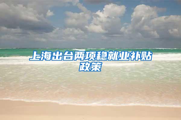 上海出台两项稳就业补贴政策