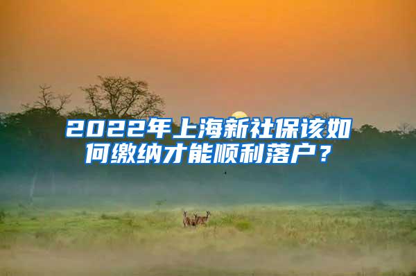 2022年上海新社保该如何缴纳才能顺利落户？