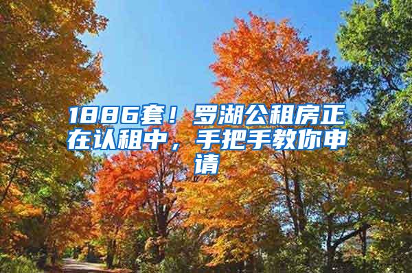 1886套！罗湖公租房正在认租中，手把手教你申请