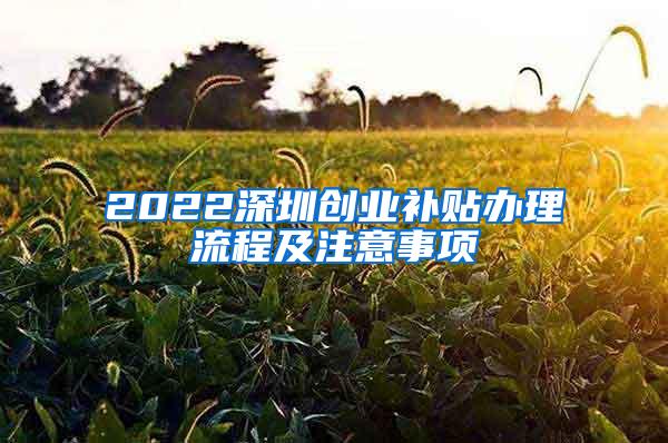 2022深圳创业补贴办理流程及注意事项