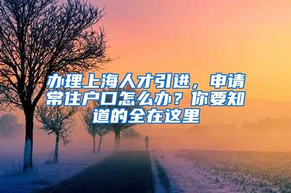 办理上海人才引进，申请常住户口怎么办？你要知道的全在这里