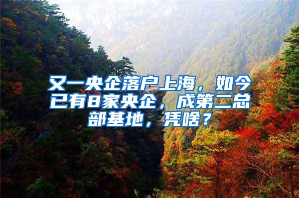 又一央企落户上海，如今已有8家央企，成第二总部基地，凭啥？