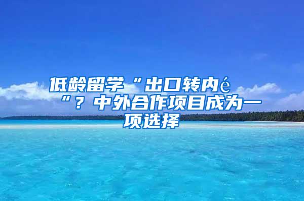 低龄留学“出口转内销“？中外合作项目成为一项选择