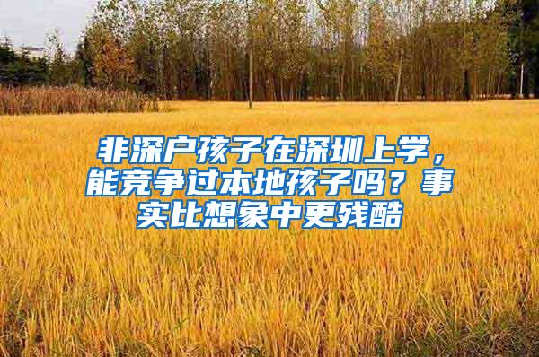 非深户孩子在深圳上学，能竞争过本地孩子吗？事实比想象中更残酷