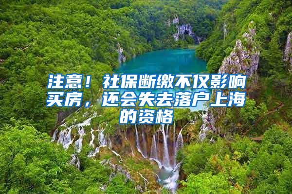 注意！社保断缴不仅影响买房，还会失去落户上海的资格