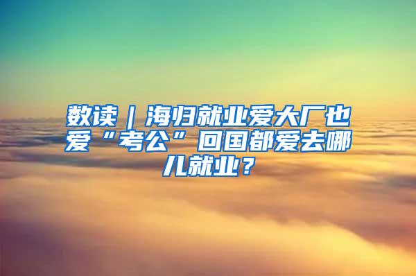 数读｜海归就业爱大厂也爱“考公”回国都爱去哪儿就业？