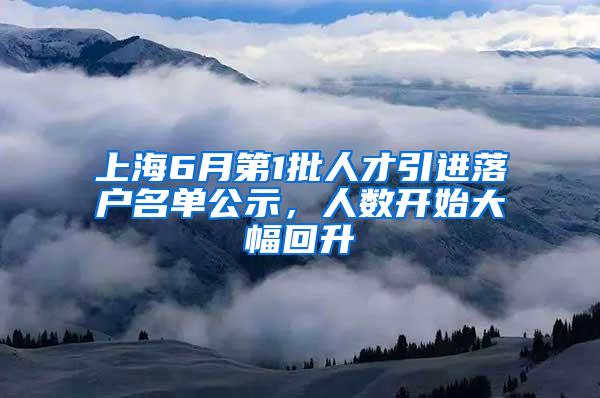 上海6月第1批人才引进落户名单公示，人数开始大幅回升