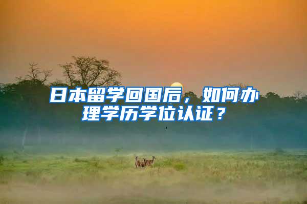 日本留学回国后，如何办理学历学位认证？
