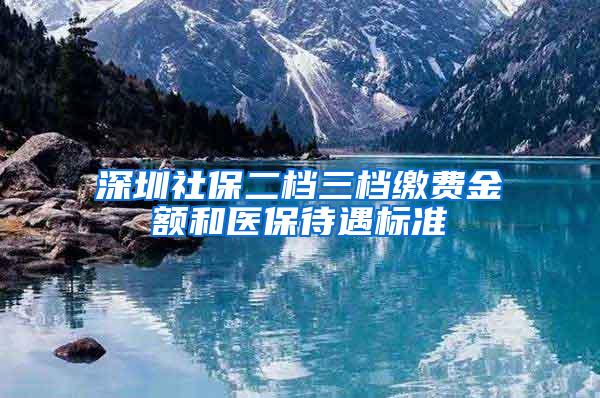 深圳社保二档三档缴费金额和医保待遇标准