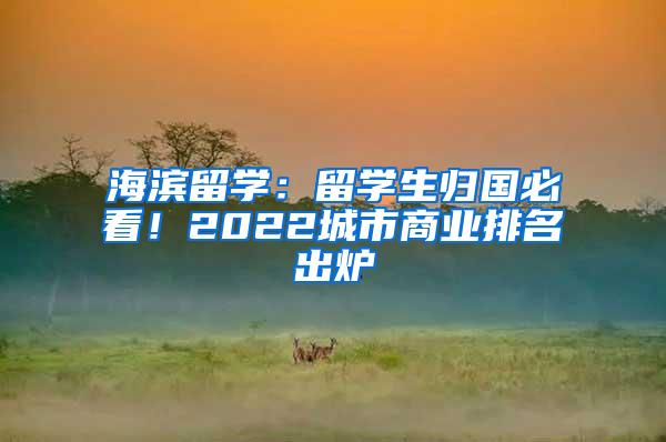 海滨留学：留学生归国必看！2022城市商业排名出炉