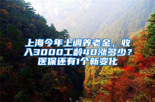 上海今年上调养老金，收入3000工龄40涨多少？医保还有1个新变化