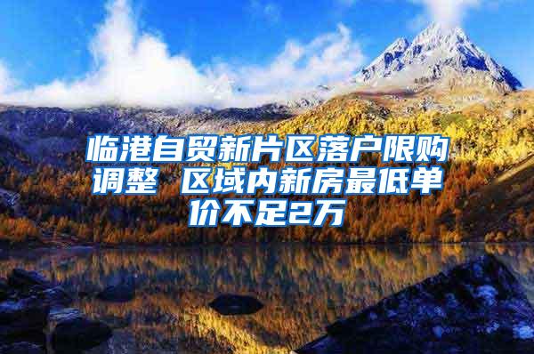 临港自贸新片区落户限购调整 区域内新房最低单价不足2万