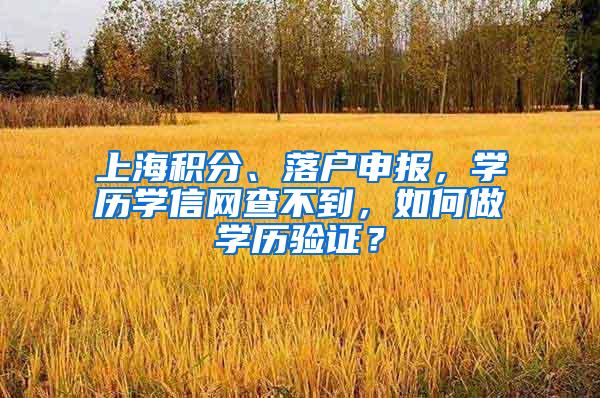上海积分、落户申报，学历学信网查不到，如何做学历验证？
