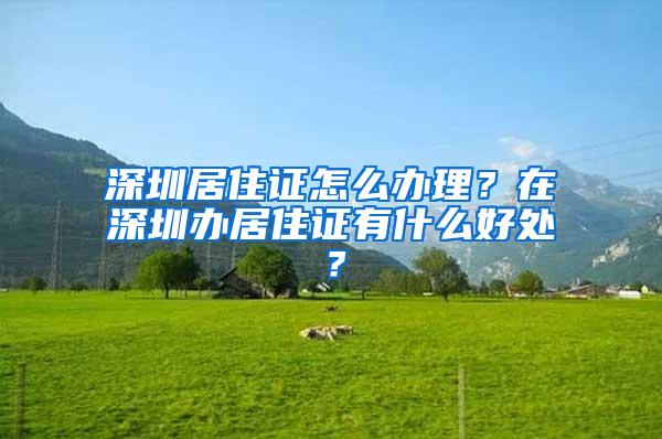 深圳居住证怎么办理？在深圳办居住证有什么好处？