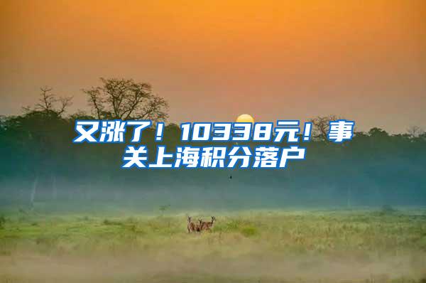 又涨了！10338元！事关上海积分落户