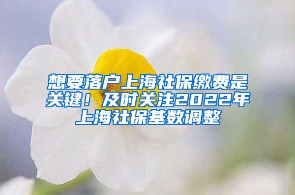 想要落户上海社保缴费是关键！及时关注2022年上海社保基数调整