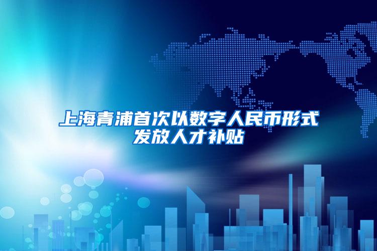 上海青浦首次以数字人民币形式发放人才补贴