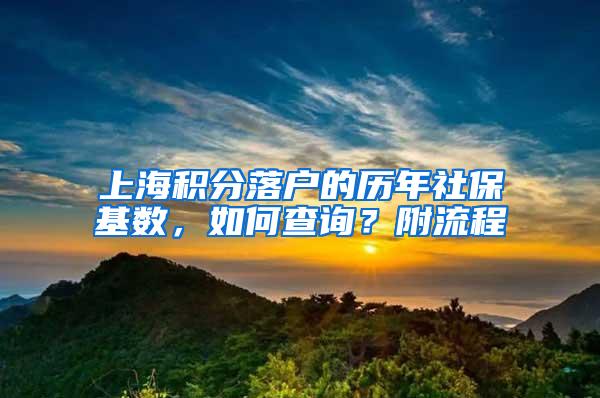 上海积分落户的历年社保基数，如何查询？附流程