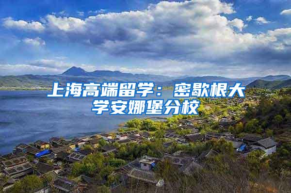 上海高端留学：密歇根大学安娜堡分校