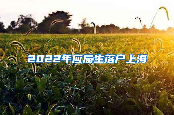 2022年应届生落户上海