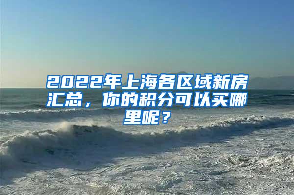 2022年上海各区域新房汇总，你的积分可以买哪里呢？