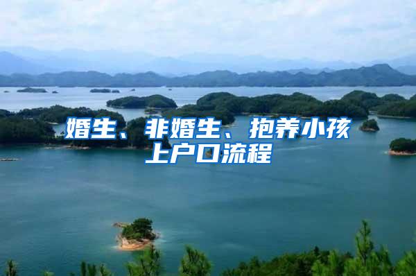 婚生、非婚生、抱养小孩上户口流程