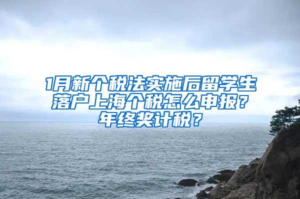 1月新个税法实施后留学生落户上海个税怎么申报？年终奖计税？