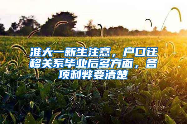 准大一新生注意，户口迁移关系毕业后多方面，各项利弊要清楚