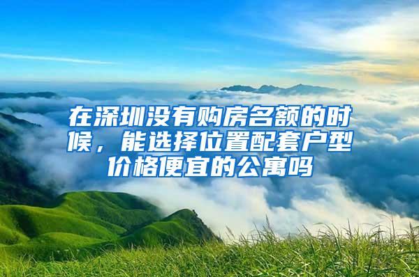 在深圳没有购房名额的时候，能选择位置配套户型价格便宜的公寓吗